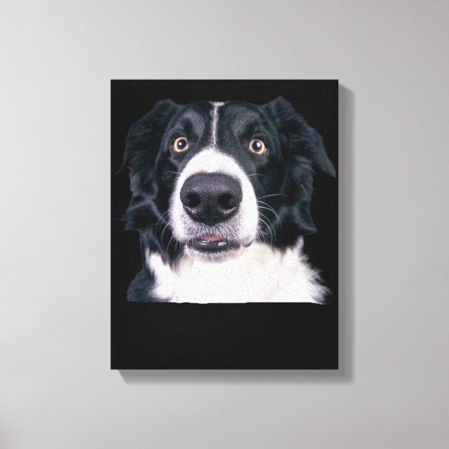 Toile Visage de chien noir et blanc (Recto)