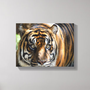 Toile visage majestueux de tigre
