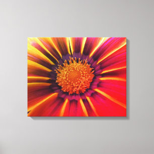 Toile Vivid Couleur Gerber Daisy Canvas