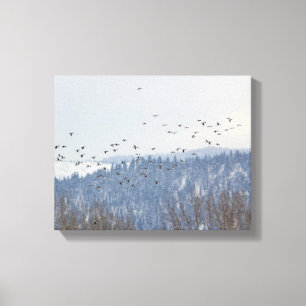 Toile Vol de Goldeneye