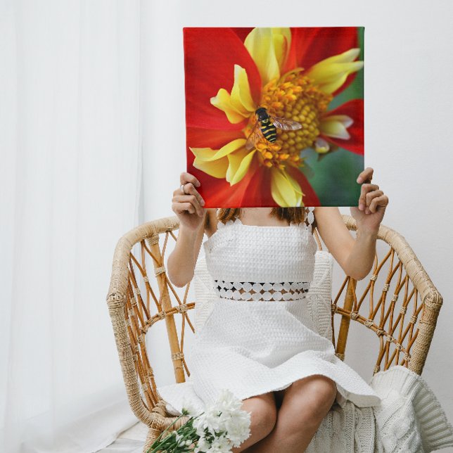 Toile Vol stationnaire sur Collarette Dahlia Photographi (Créateur téléchargé)