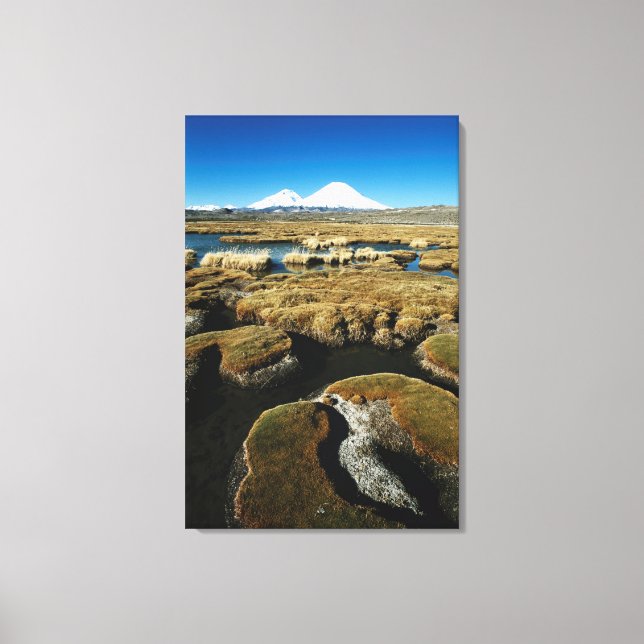 Toile Volcans Payachalas (Recto)