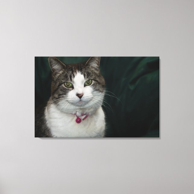 Toile Vous me regardez (Recto)