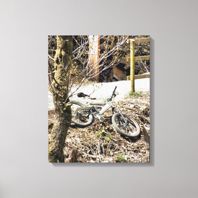TOILE VTT (Recto)