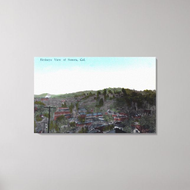 Toile Vue aérienne de TownSonora, CA (Recto)