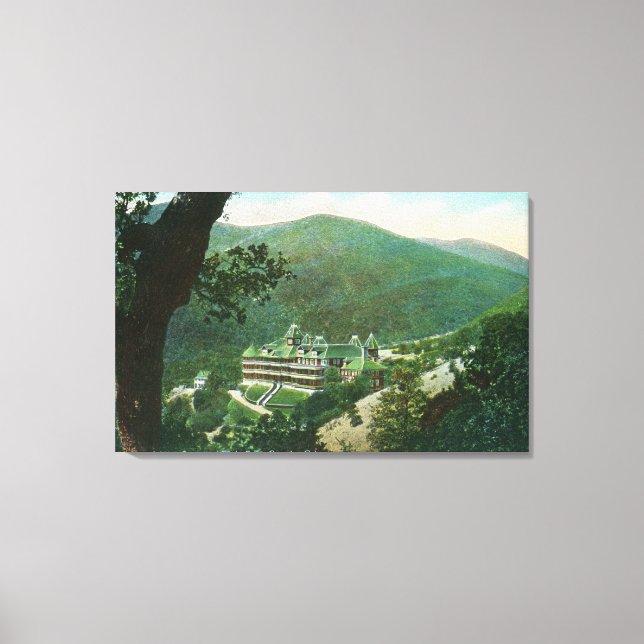 Toile Vue aérienne de Witter Springs Hôtel Extérieur (Recto)