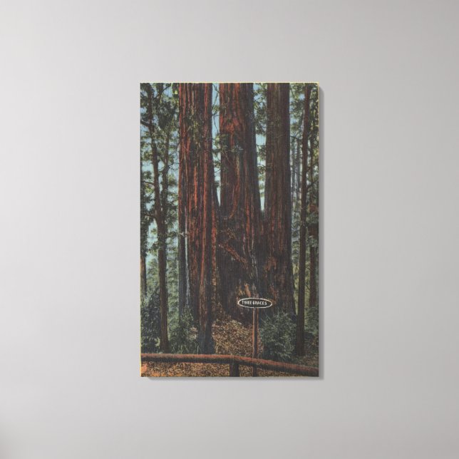 Toile Vue de "Trois Graces" sur Big Trees Park (Recto)