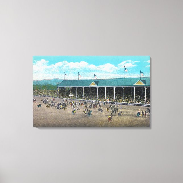 Toile Vue des concours de Bucking (Recto)