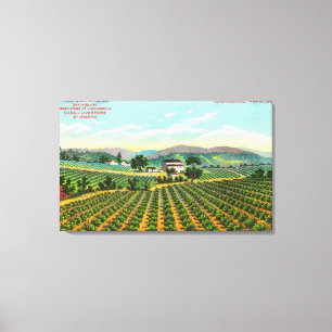 Toile Vue du Giersberg VineyardNapa, CA