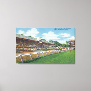 Toile Vue juste de voie de course de raisons