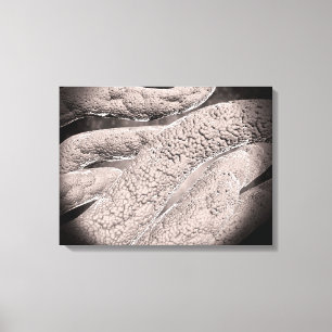 Toile Vue Microscopique De La Formation De Corncob