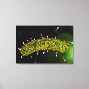 Toile Vue microscopique de l'attaque de bactériophage