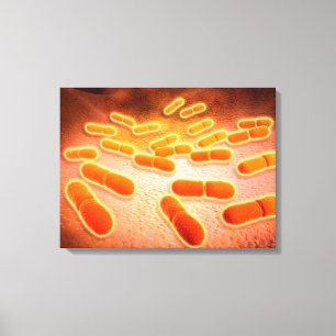 Toile Vue Microscopique De Listeria Monocytogenes 1