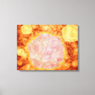 Toile Vue microscopique de Parvovirus canin 1