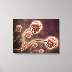 Toile Vue Microscopique De Stachybotrys Chartarum