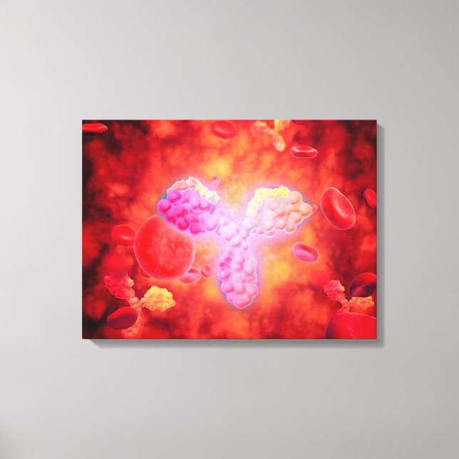 Toile Vue Microscopique Des Anitcorps Humains (Recto)