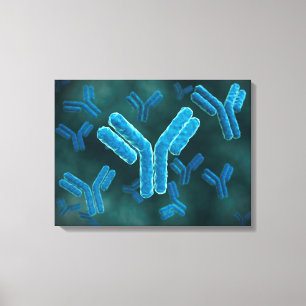 Toile Vue Microscopique Des Molécules Immunoglobulines G