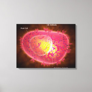 Toile Vue Microscopique D'Une Cellule Mâle