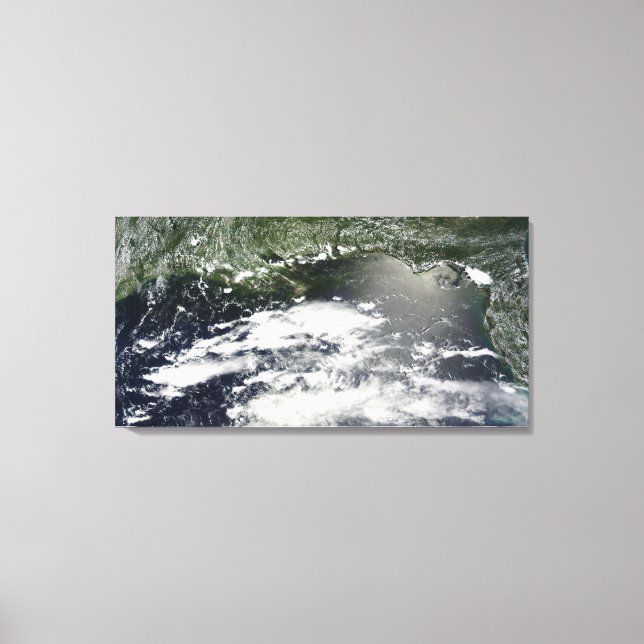 Toile Vue satellite des fuites d'huile 2 (Recto)