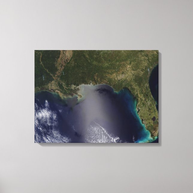 Toile Vue satellite du sud-est des États-Unis 2 (Recto)