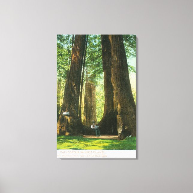 Toile Vue sur Redwood Twins à Big Tree Grove (Recto)