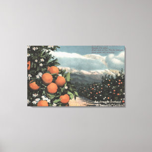 Toile Vue sur un Orange Orchard avec Montagnes