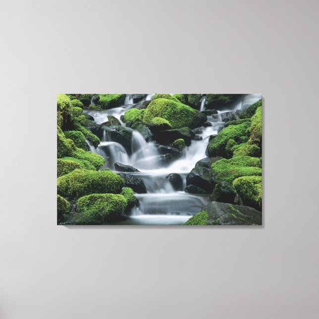Toile WA, Pôle olympique, Vallée de Sol Duc, ruisseau av (Recto)
