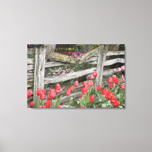 Toile WA, vallée de Skagit, jardin de tulipes Roozengaar
