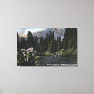 Toile Washington - un parc national plus pluvieux, Sta