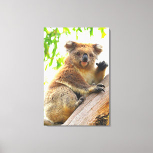 Toile WAVING KOALA 24x36
