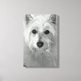 Toile Westie Chien (West Highland White Terrier)