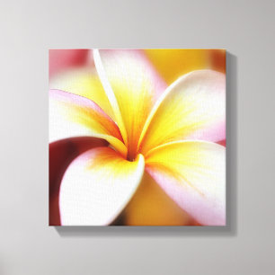 Toile White Plumeria Frangipani Hawaii Flower Hawaiian