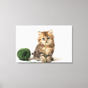 Toile Yarn vert de Kitten