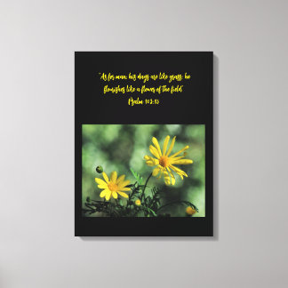 Toile Yellow Aster Wildflowers Canvas Print