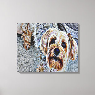 Toile Yorkshire Terrier