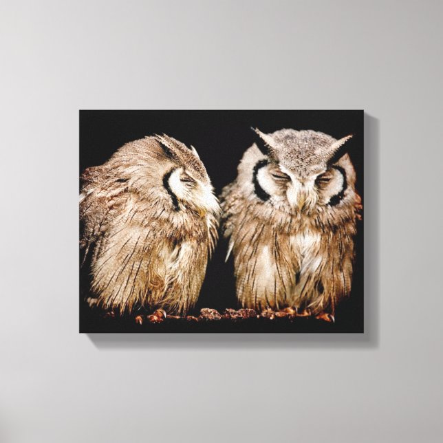 Toile Young Owlets (Recto)