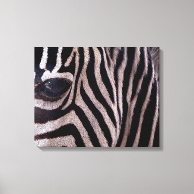 Toile Zebra Art (Recto)