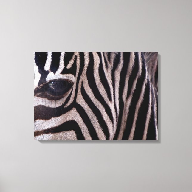 Toile Zebra Art (Recto)
