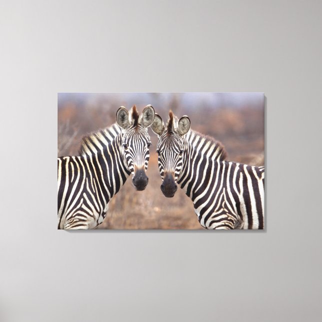 Toile Zèbres de la plaine, Parc national de Kruger (Recto)