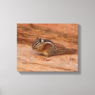 Toile Zion Chipmunk sur Red Rocks