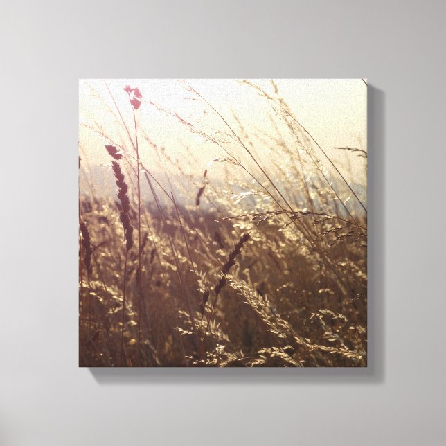 Toile Zone Nature - Canvas (Recto)
