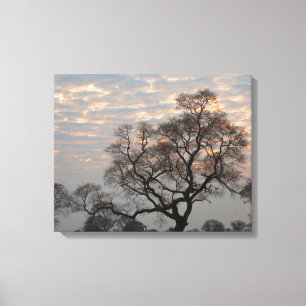 Toile Zones humides du Pantanal Amérique du Sud, Brési