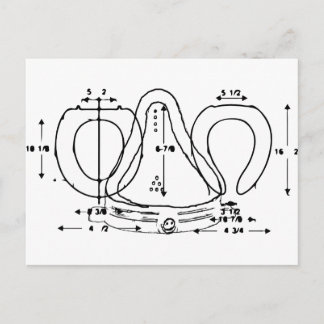 toilet seat postcard