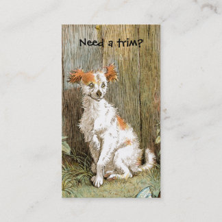 Toilettage d'animal familier ou carte de visite de