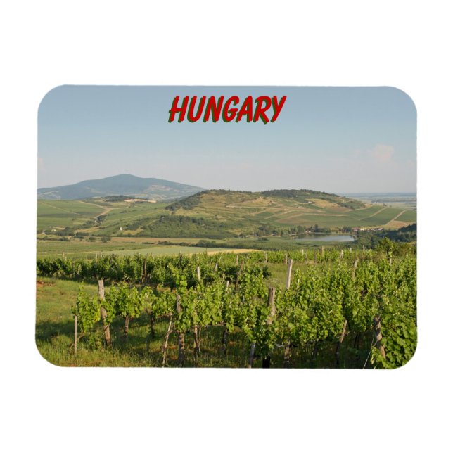 Tokaj vineyards, Hungary Magnet (Horizontal)