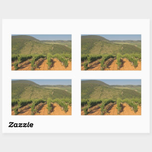 Tokaj vineyards, Hungary Sticker