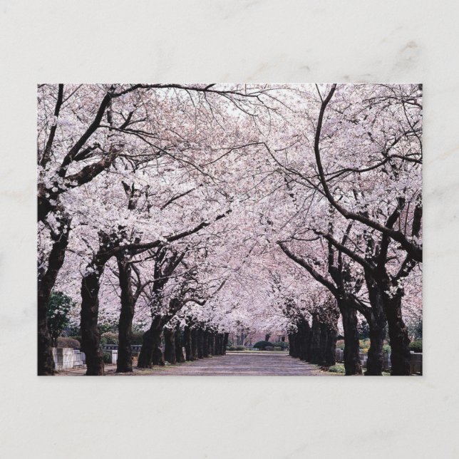 TOKYO POSTCARD (Front)