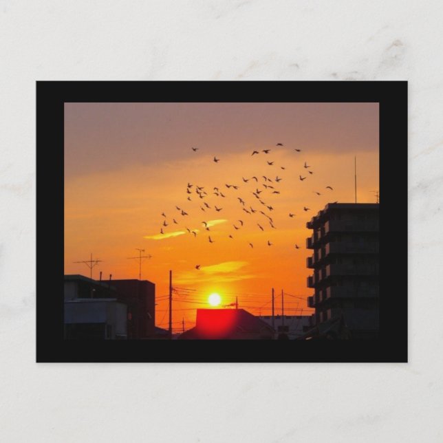 Tokyo Postcard (Front)