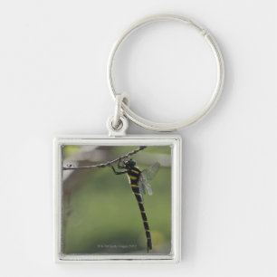Tokyo Prefecture, Honshu, Japan Keychain