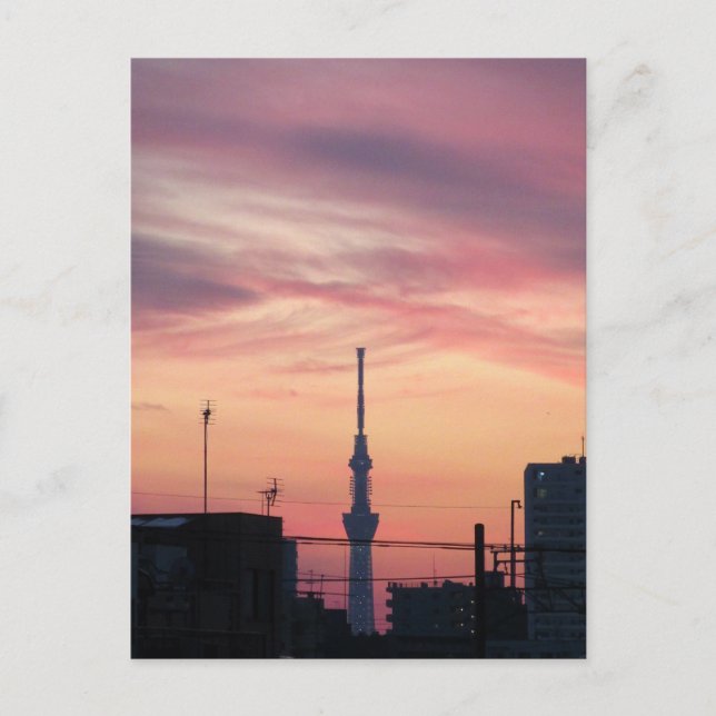 Tokyo Skytree at Sunset Postcard (Front)